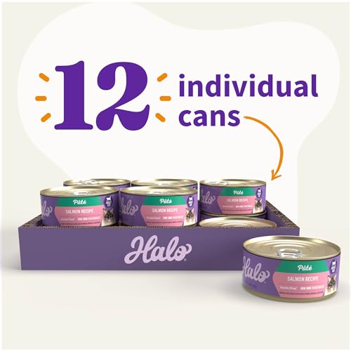 Pate Wet Cat Food