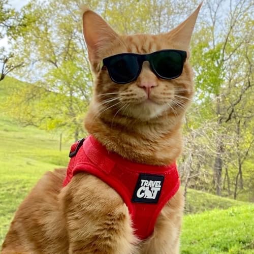 Travel Cat Harness and Leash Set (Large / Red)