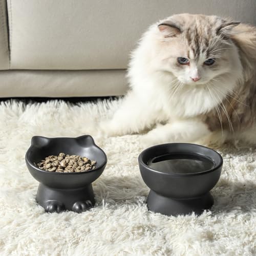 Elevated Cat Bowls (4.5 OZ / Matte Black)