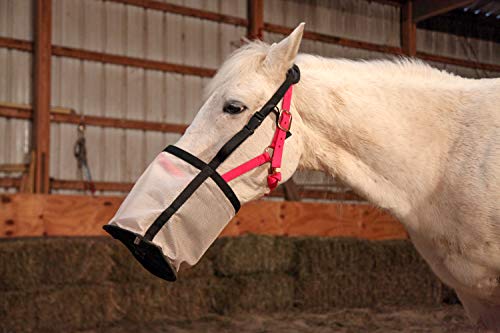 Horse Feed Bag (Full / Beige)