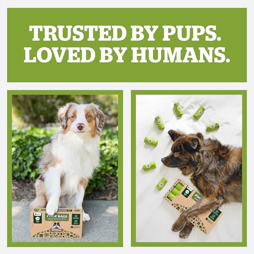 Pogi's Compostable Dog Poop Bags (1 Count (Pack of 270) / Unscented)