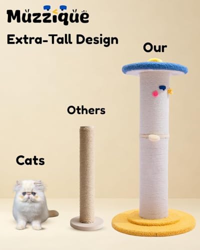 Cute Cat Scratching Post