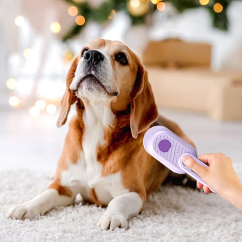 2026 New 4 in 1 Cat Steam Brush for Shedding