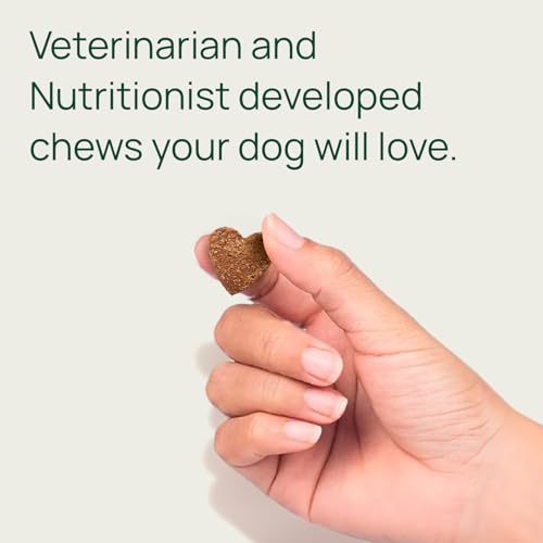 Joint & Hip Support Supplement for Dogs with Glucosamine (Large Dogs)