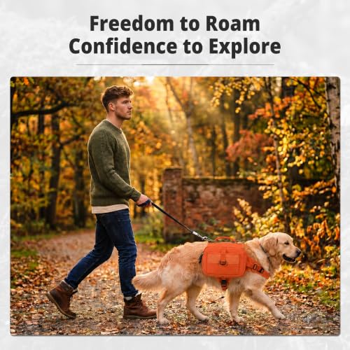 Dog Backpack & Saddle Bag (Orange)