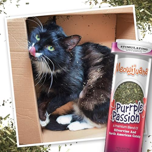 Purr Effect Trio Pack