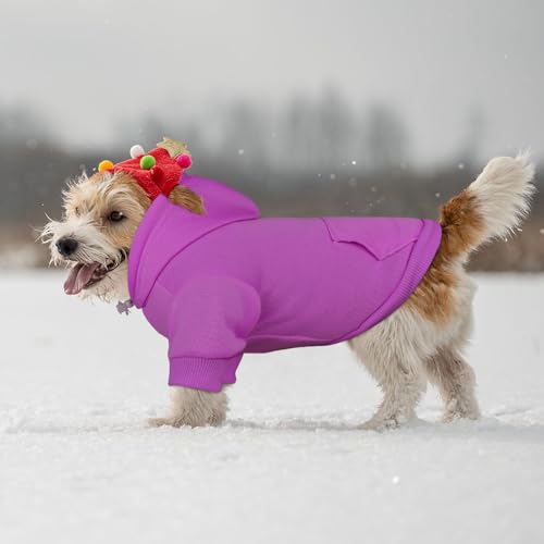 Dog Hoodie Dog Sweaters for Small Dogs (X-Small / Purple)