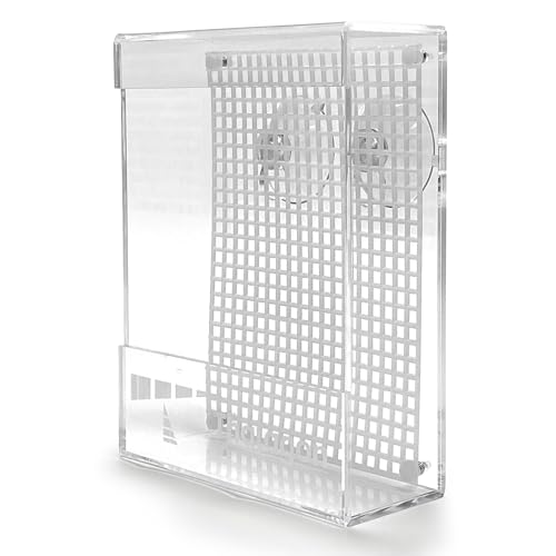 Bearded Dragon Feeder