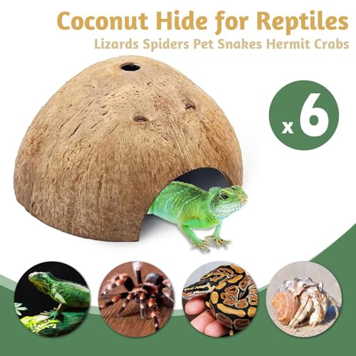 6 PCS Natural Coconut Reptile Hideouts Lizard Coco Hut Hermit Crab Hut Aquarium Fish Hide Cave Spider Snail Climber Toys (Smooth Surface / 6 PCS)