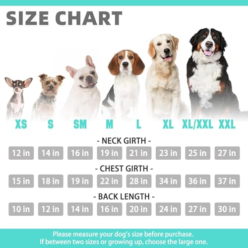 Dog Hoodie for Large Medium Small Dogs (Lake Blue / Large)