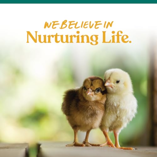 Chick Grit Digestive Supplement for Young Growing Poultry & Bantam Breeds (5 Pound (Pack of 1))