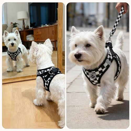 Dog Harness Collar and Leash Set No Pull for Small Medium Sized (Black&White (Checkered) / L (CHEST 18"-20"))