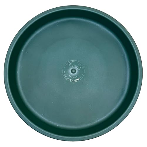 Ground Level Bird Bath