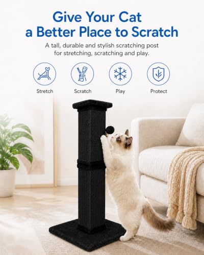 Cat Scratching Post for Indoor Cats (Pure Black)