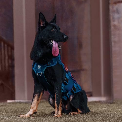 Tactical Dog Harness for Small Medium Large Dogs (Blue / S)