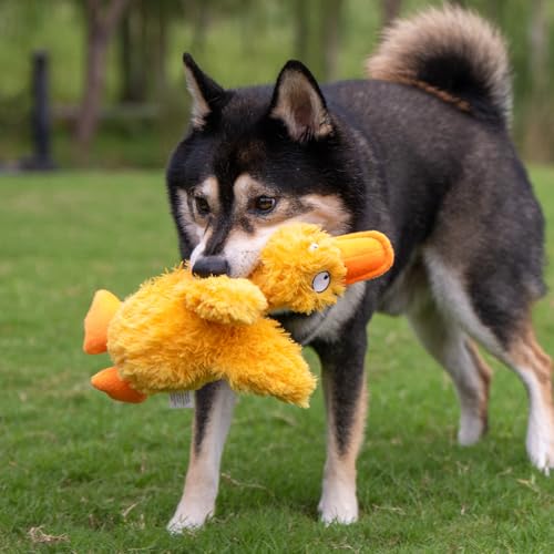 Squeaky Plush Dog Toy (Ducky Doodle (Yellow) / Large)