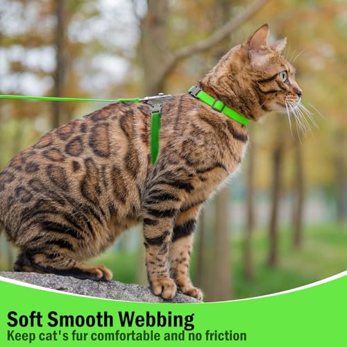 Adjustable Cat Harness and Leash Set Escape Proof Kitten Strap Collar for Walking Travel (Medium / Green)