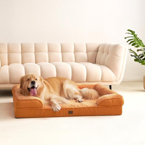 Orthopedic XXL Dog Bed (Pumpkin Orange / 52.0"l X 41.0"w X 8.0"th)