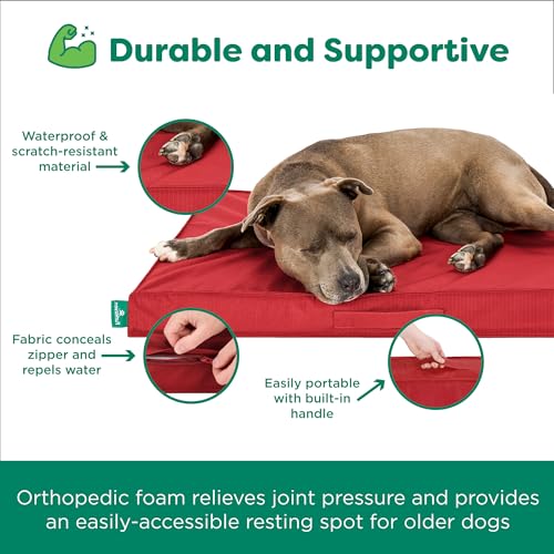Cooling Dog Bed (Jumbo / Red)