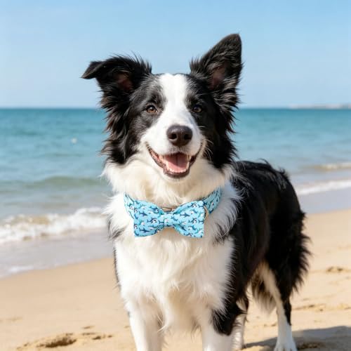 Dog Collar Boy Shark Print Dog Collar with Bow Tie (Summer Shark / X-Small (Pack of 1))