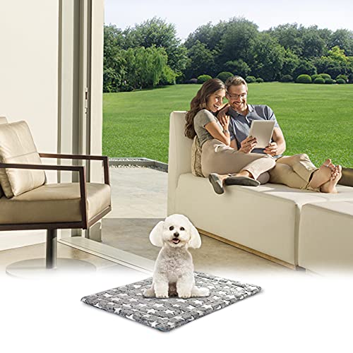 Fancy Crate Pad Bed Mat Reversible (Small)