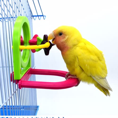Bird Mirror for Cage