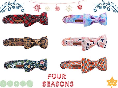 Halloween Dog Collar (Pumpkin / Medium (Pack of 1))