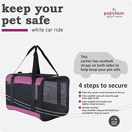 Soft Pet Carrier for Large and Medium Cats (Viva Magenta)