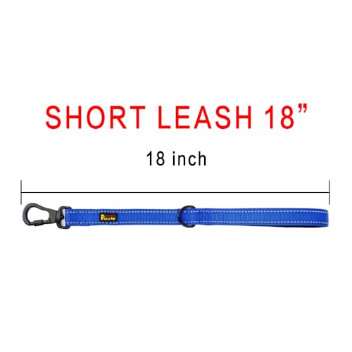 Short Dog Leash with Padded Handle for Medium Large Dogs (Royal Blue / 18 Inch (Pack of 1))