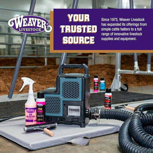 Swine Conditioner and Shine (1-Quart)
