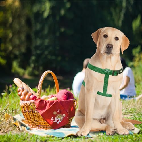 No Pull Dog Harness Medium Sized Step (Blackish Green / Medium)