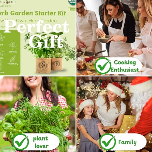 Herb Indoor Garden Kit (Basil, Parsley, Mint, Thyme, Rosemary)