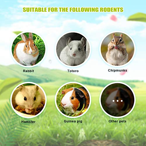 8 Pcs Small Animals Play Balls Rolling Activity Chew Toys Gnawing Treats for Rabbits Guinea Pigs Chinchilla Bunny Natural Balls (8Pcs)