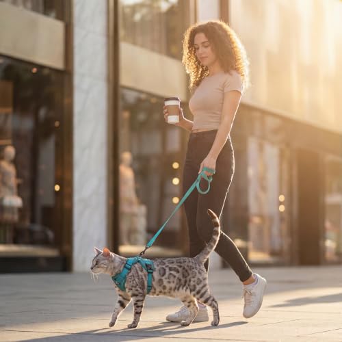 Cat Harness and Leash Set (Turquoise / Large)