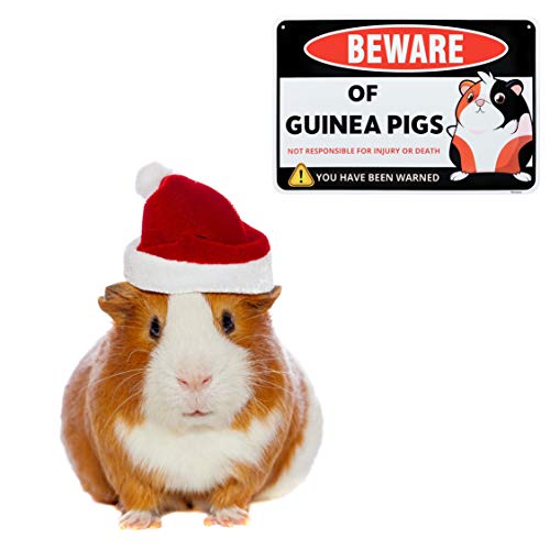 Guinea Pig Sign Decor (Guinea Pig)
