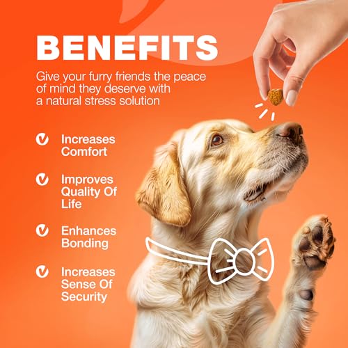 Hip & Joint Chews for Dogs (180 count / Hip & Joint Chews)