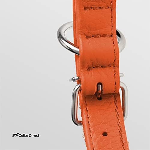 Tangle Free Rolled Leather Dog Collar (Orange / M)