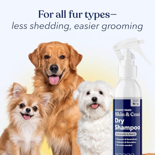 Dog Dry Shampoo