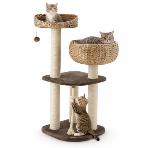 41 Inch Modern Cat Tree for Indoor Cats (41 inches / Coffee)