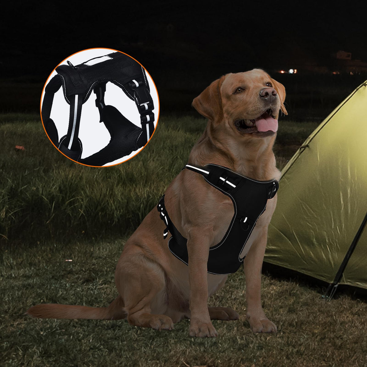 No Pull Dog Harness (Small)