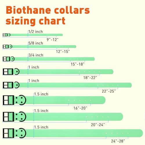 Biothane Waterproof Dog Collar Strong Coated Nylon Webbing with Black Hardware Odor (W5/8" x L12-15" / Sea Foam Green)