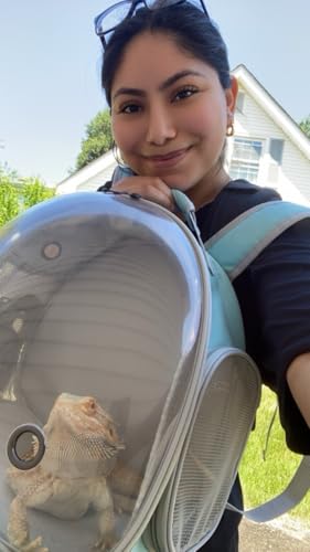 Bearded Dragon Backpack Carrier (Blue)