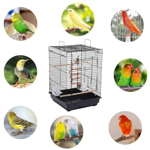 Open Play Top Travel Bird Cage for Conure Sun Parakeet Green Cheek Conure Lovebird Budgie Finch Canary (Black)