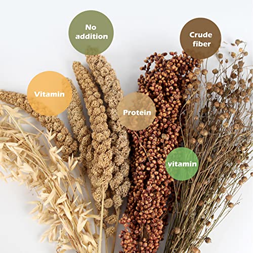 Natural Ear of Grain Flower&Herb Bedding Mate Habitat Decor (Grain)
