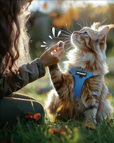 Cat Harness and Leash Set (Tranquil Teal / M(Chest 10-12"))