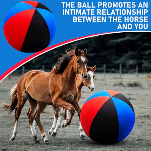 Giant 48 Inch Herding Balls with Ball Cover (Blue / 48 Inch / Cute)