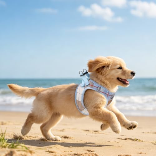 Dog Harness Collar and Leash Set No Pull for Small Medium Sized (Light Blue / S (CHEST 14.5"-16"))