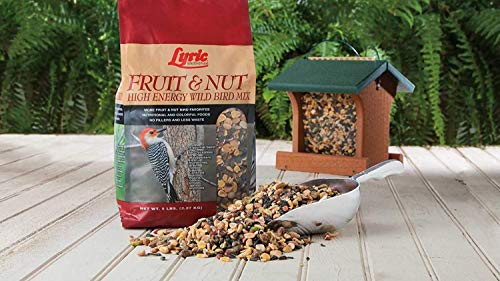 Fruit and Nut Wild Bird Seed (20 Pound (Pack of 1))