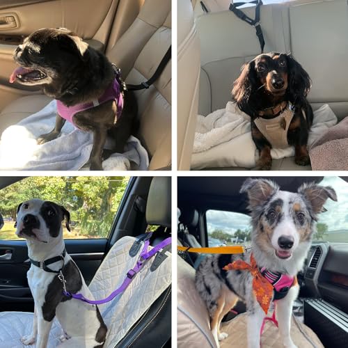 2 Pack Dog Seat Belt for Car (Black)