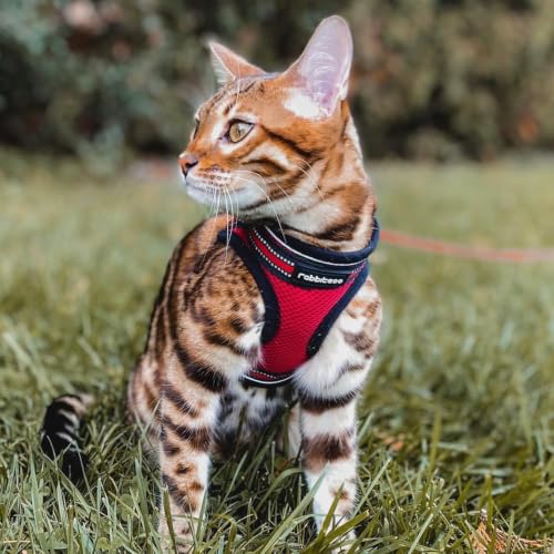 Cat Harness and Leash Set (L / Red)